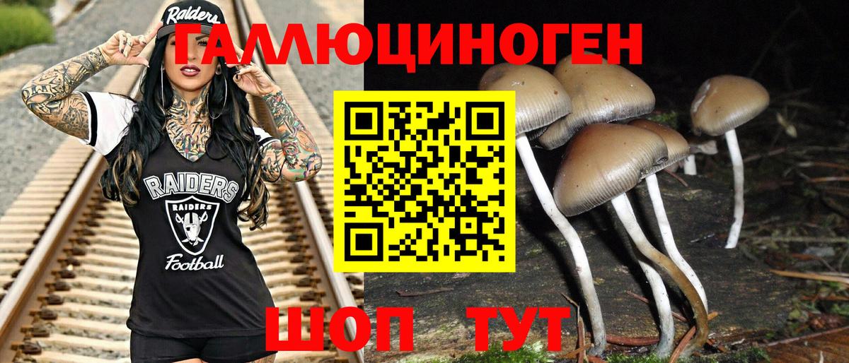 Псилоцибиновые грибы Psilocybe  Галлюциногенные грибы Cubensis  Иркутск  Вход с VPN 