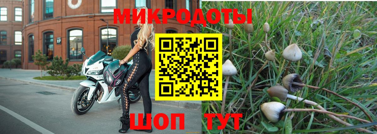 Псилоцибиновые грибы MAGIC MUSHROOMS Иркутск